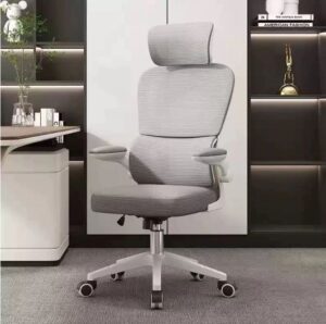 Cadeira de Escritório Ergonômica Executiva